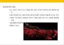 발 관리 : 발의 구조와 기능 & 발관리의 실제 4페이지