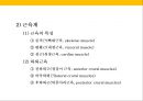 발 관리 : 발의 구조와 기능 & 발관리의 실제 14페이지