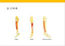 발 관리 : 발의 구조와 기능 & 발관리의 실제 15페이지