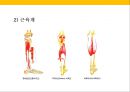 발 관리 : 발의 구조와 기능 & 발관리의 실제 16페이지