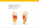발 관리 : 발의 구조와 기능 & 발관리의 실제 18페이지
