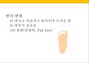 발 관리 : 발의 구조와 기능 & 발관리의 실제 31페이지