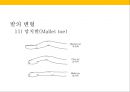 발 관리 : 발의 구조와 기능 & 발관리의 실제 32페이지