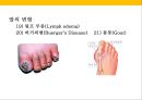 발 관리 : 발의 구조와 기능 & 발관리의 실제 36페이지