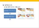 발 관리 : 발의 구조와 기능 & 발관리의 실제 52페이지
