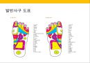 발 관리 : 발의 구조와 기능 & 발관리의 실제 61페이지