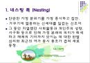 네스팅 족 (Nesting),딩크 족,딘스 족,딩크족과 딘스족의 유사점과 차이점,우피 족,통크 족 2페이지