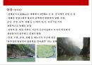 중국 자연지형(산맥.분지.명산.강.평원.기타) 의 이해  [중국 자연지형] 26페이지