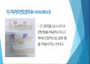 견인 간호(피부견인, 골격견인, 간호과정) 8페이지
