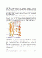 [성인간호학 case study] rectal cancer 문헌고찰 및 간호과정 5페이지