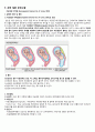 자궁경관무력증 케이스 10페이지