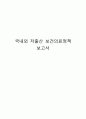 국내외 저출산 보건의료정책에 관한 보고서 1페이지