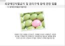 _장애인정책 및 관련법 (1) 22페이지