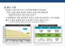 신흥국 시장의 위험과 기회 [인도네시아, 인도,중국,베트남, 필리핀, 파키스탄,방글라데시, 터키, 이집트, 이란,파키스탄, 나이지리아, 멕시코] 16페이지