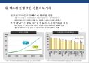 신흥국 시장의 위험과 기회 [인도네시아, 인도,중국,베트남, 필리핀, 파키스탄,방글라데시, 터키, 이집트, 이란,파키스탄, 나이지리아, 멕시코] 17페이지
