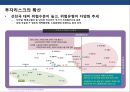 신흥국 시장의 위험과 기회 [인도네시아, 인도,중국,베트남, 필리핀, 파키스탄,방글라데시, 터키, 이집트, 이란,파키스탄, 나이지리아, 멕시코] 37페이지