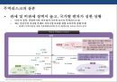 신흥국 시장의 위험과 기회 [인도네시아, 인도,중국,베트남, 필리핀, 파키스탄,방글라데시, 터키, 이집트, 이란,파키스탄, 나이지리아, 멕시코] 38페이지