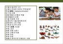 곤충의 이해(곤충의 구조.곤충의 번성이유.생태계에서의 역할.익충.해충.식량자원) 2페이지