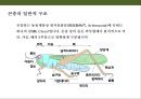 곤충의 이해(곤충의 구조.곤충의 번성이유.생태계에서의 역할.익충.해충.식량자원) 3페이지