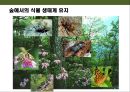 곤충의 이해(곤충의 구조.곤충의 번성이유.생태계에서의 역할.익충.해충.식량자원) 13페이지