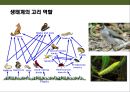 곤충의 이해(곤충의 구조.곤충의 번성이유.생태계에서의 역할.익충.해충.식량자원) 14페이지