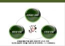 곤충의 이해(곤충의 구조.곤충의 번성이유.생태계에서의 역할.익충.해충.식량자원) 16페이지