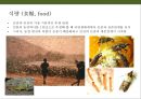 곤충의 이해(곤충의 구조.곤충의 번성이유.생태계에서의 역할.익충.해충.식량자원) 17페이지