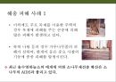 곤충의 이해(곤충의 구조.곤충의 번성이유.생태계에서의 역할.익충.해충.식량자원) 22페이지
