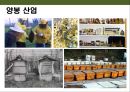 곤충의 이해(곤충의 구조.곤충의 번성이유.생태계에서의 역할.익충.해충.식량자원) 26페이지