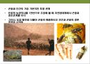 곤충과 식물(식물의 곤충에 대한 방어& 곤충의 먹이 소화) 8페이지
