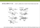 곤충과 식물(식물의 곤충에 대한 방어& 곤충의 먹이 소화) 20페이지