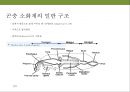 곤충과 식물(식물의 곤충에 대한 방어& 곤충의 먹이 소화) 21페이지