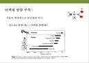 곤충과 식물(식물의 곤충에 대한 방어& 곤충의 먹이 소화) 36페이지