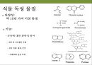 곤충과 식물(식물의 곤충에 대한 방어& 곤충의 먹이 소화) 39페이지