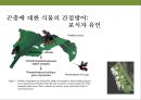 곤충과 식물(식물의 곤충에 대한 방어& 곤충의 먹이 소화) 41페이지