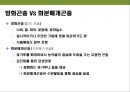 곤충과 식물(식물의 곤충에 대한 방어& 곤충의 먹이 소화) 47페이지