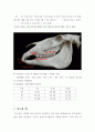 말(馬)의 소화기관과 영양, 사료관리의 이해 5페이지