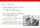 소스시장 현황(품목별.브랜드별) & 미래 시장 예측 28페이지