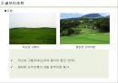 ★ 호텔경영론 - GOLF RESORTS ( 골프, 골프리조트, 국내리조트, 국외리조트, 문제점, 해결방안 ) 17페이지
