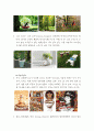 주얼리 디자인 시대별 디자인 트랜드 분석 및 디자인 메가 트렌드 고찰 43페이지
