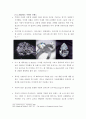 주얼리 디자인 시대별 디자인 트랜드 분석 및 디자인 메가 트렌드 고찰 52페이지