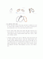주얼리 디자인 시대별 디자인 트랜드 분석 및 디자인 메가 트렌드 고찰 72페이지