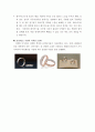 주얼리 디자인 시대별 디자인 트랜드 분석 및 디자인 메가 트렌드 고찰 74페이지