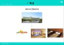 ★ 국민관광리조트 - 휴향형 리조트 ( 휴양형 리조트, 휴양형 리조트의 구성요건, 휴양형 리조트의 개발현황, 국내 휴양리조트, 대명리조트, 국외 휴양리조트, 리츠칼튼리조트 ) 8페이지