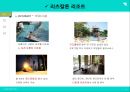 ★ 국민관광리조트 - 휴향형 리조트 ( 휴양형 리조트, 휴양형 리조트의 구성요건, 휴양형 리조트의 개발현황, 국내 휴양리조트, 대명리조트, 국외 휴양리조트, 리츠칼튼리조트 ) 31페이지