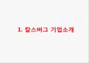 칼스버그 기업분석과 칼스버그 마케팅 SWOT,STP,4P전략분석및 칼스버그 향후시사점 PPT 3페이지