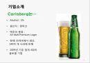 칼스버그 기업분석과 칼스버그 마케팅 SWOT,STP,4P전략분석및 칼스버그 향후시사점 PPT 6페이지