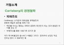 칼스버그 기업분석과 칼스버그 마케팅 SWOT,STP,4P전략분석및 칼스버그 향후시사점 PPT 8페이지