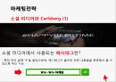 칼스버그 기업분석과 칼스버그 마케팅 SWOT,STP,4P전략분석및 칼스버그 향후시사점 PPT 21페이지