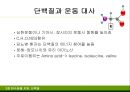 단백질 16페이지